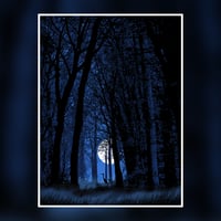 3 copies available - "Crane in the woods" - Moon variant