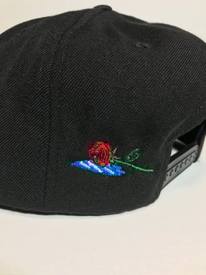 Image of Dog Days black SnapBack hat