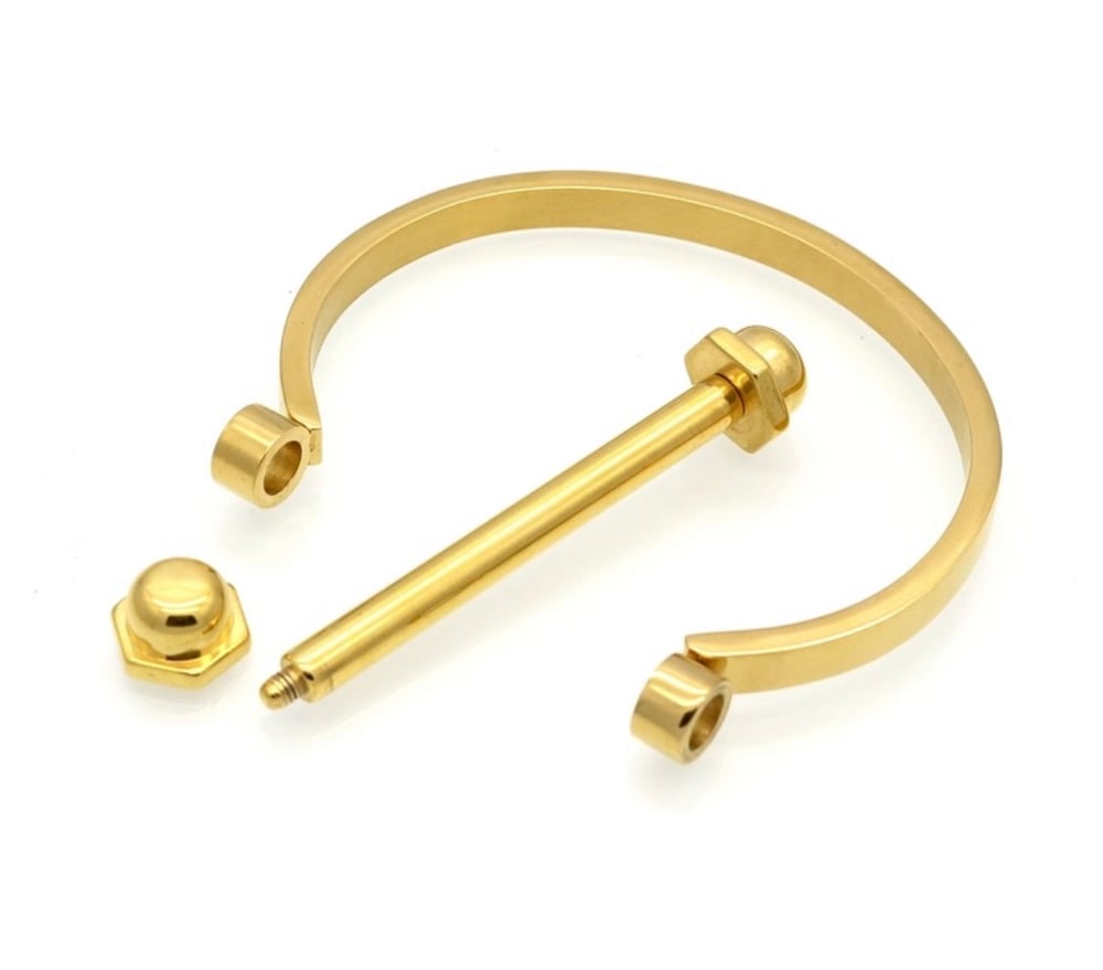 Image of The Standard Bracelet