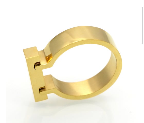 Image of The Standard Ring