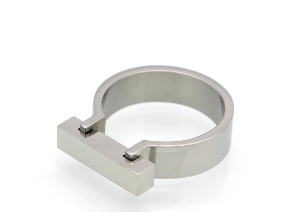 Image of The Standard Ring