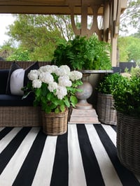 Image 1 of Signature Black and White Outdoor Rug