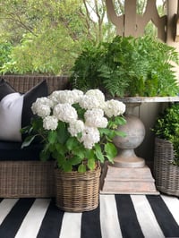 Image 3 of Signature Black and White Outdoor Rug