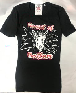 Image of The Hound of Bedlam