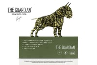 Image 3 of The Guardian® - Dream Fighter Forest - Limited Edition - 8 units