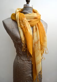 Image 4 of gossamer cashmere shawl