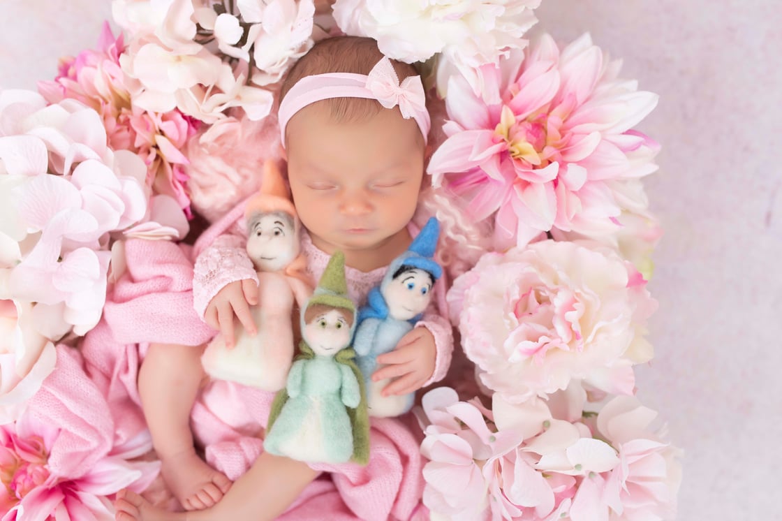 Image of NEW YEAR DEAL- "BABY YOU'VE GROWN" PACKAGE