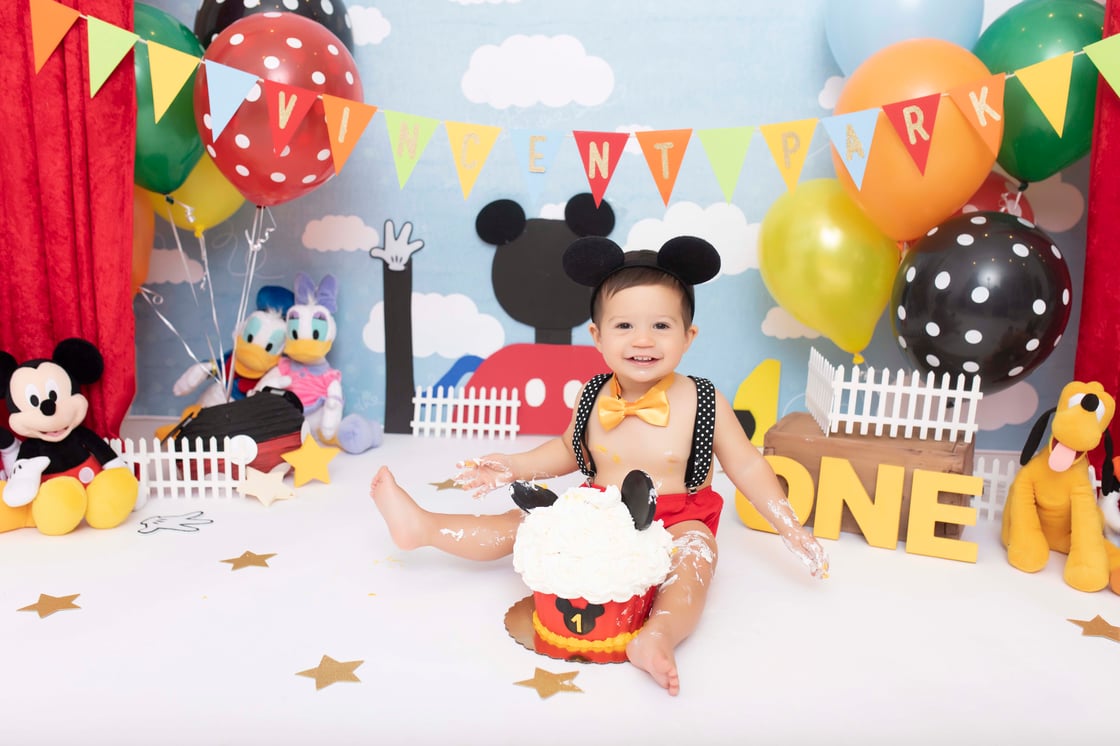 Image of NEW YEAR DEAL- $75 OFF CAKE SMASHCAKE SMASH - $325 IS DEPOSIT!!!