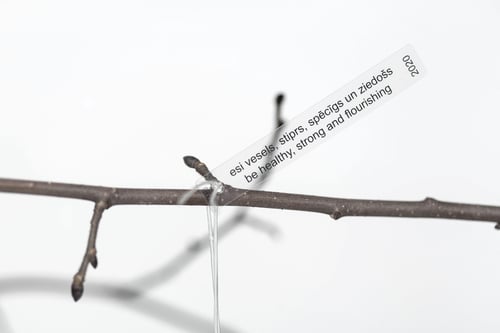 Image of "Be healthy..." 7cm Christmas tree ball with platinum inscription in Latin