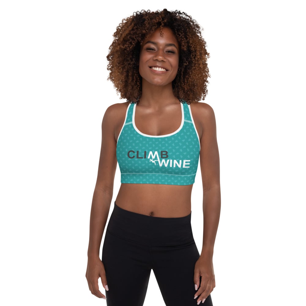 Image of Sports Bra: Teal