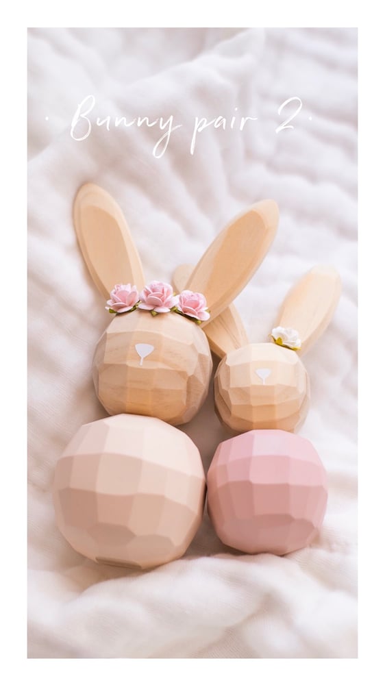 Image of Special bunny pairs