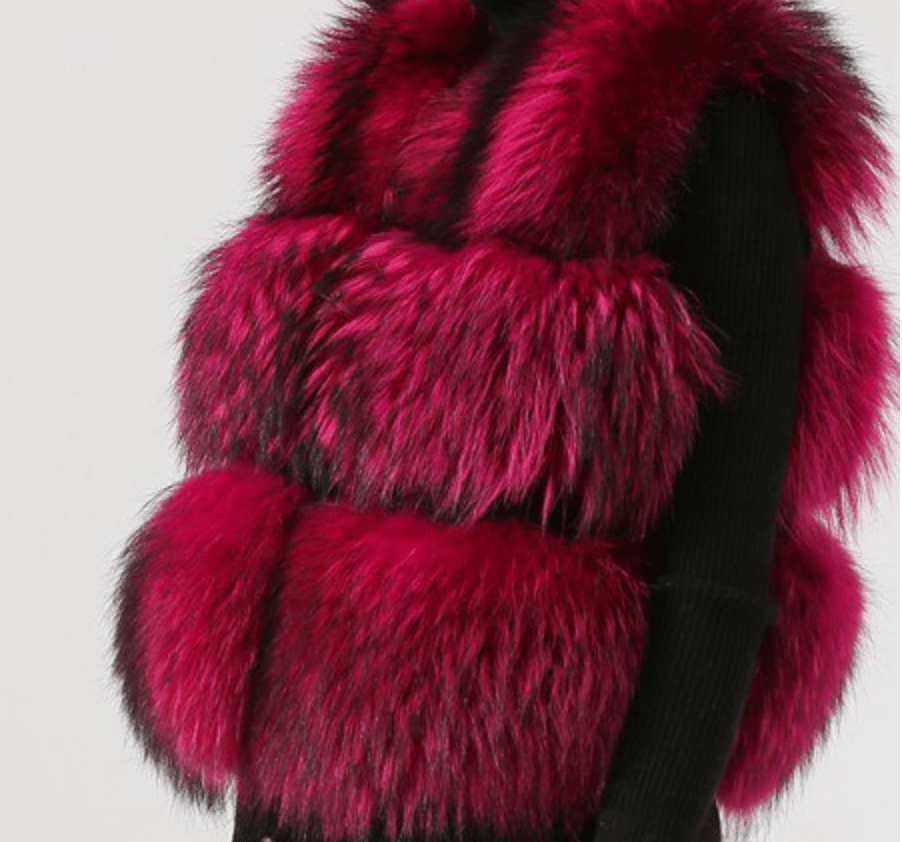 Image of Cropped Raccoon Vest