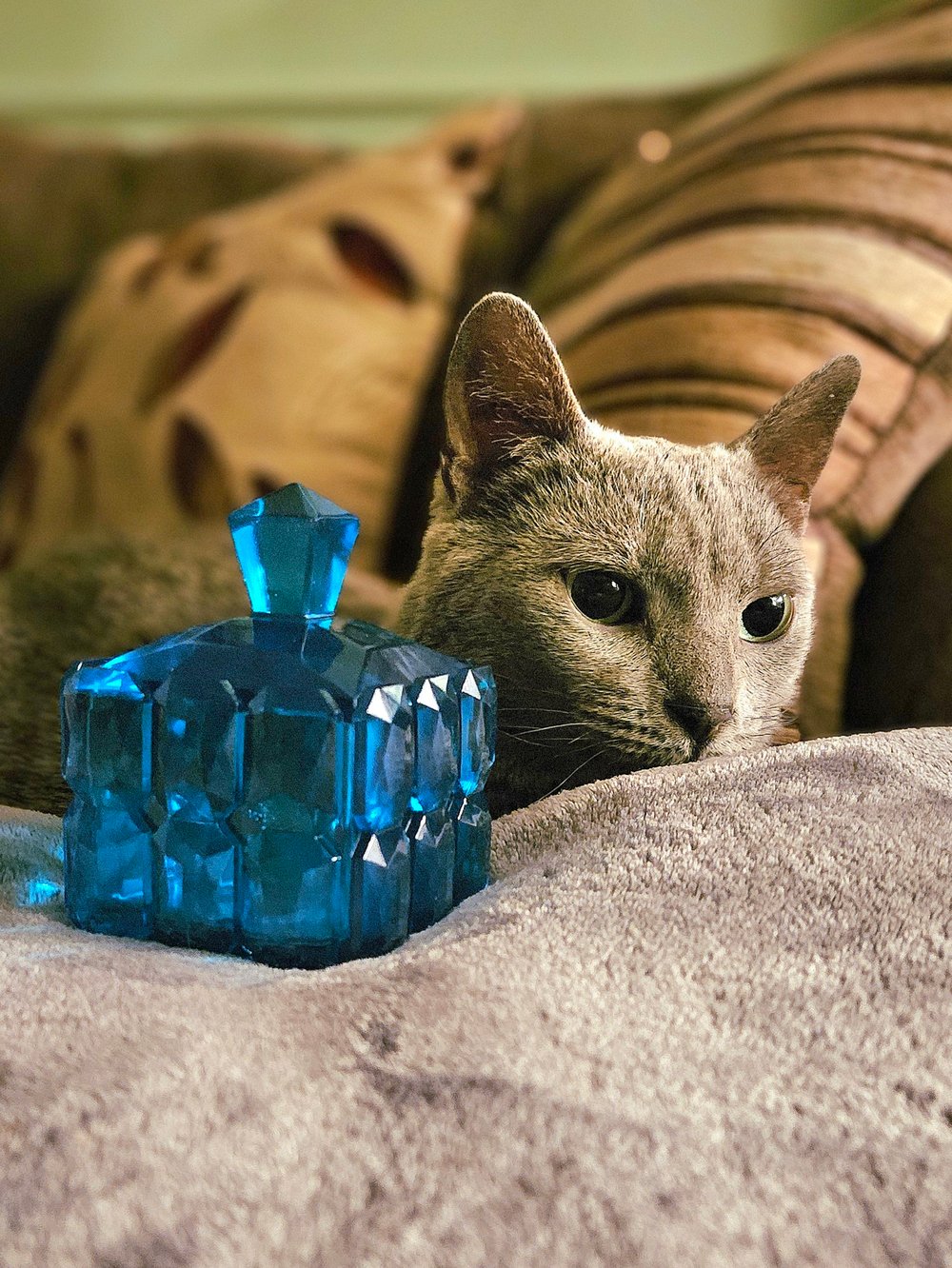 Image of Turquoise Square Box/ Lantern