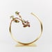 Image of Edging Over Vase - Raw Brass, Medium circle, Thick Tube