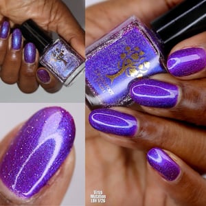 Image of Little box of Horrors