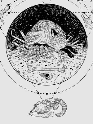 Image of Metamorphosis 16x20” Giclee Art Print