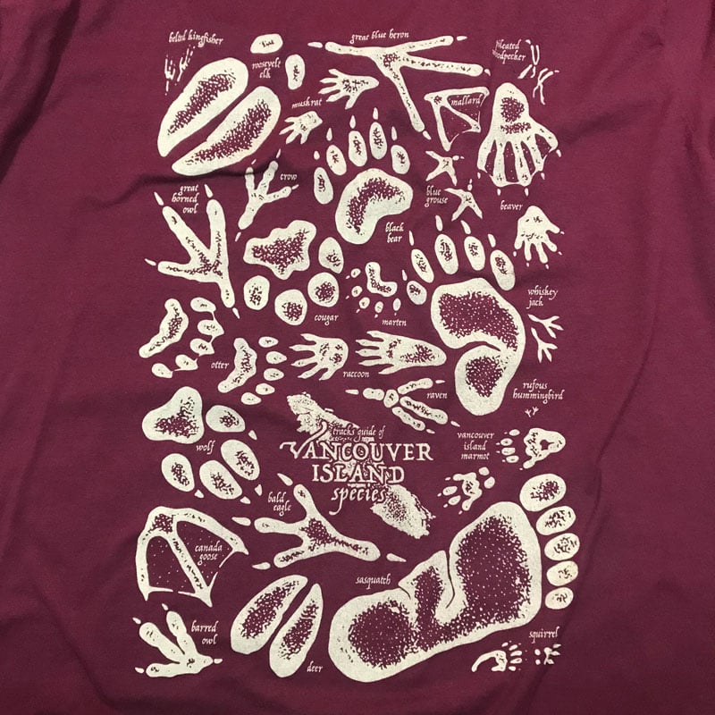 Image of VI Track Guide