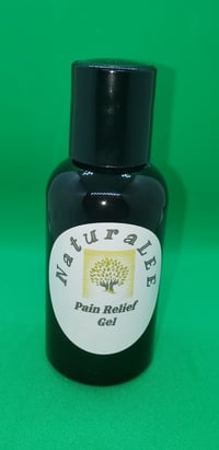 Pain Relief Gel 2 oz