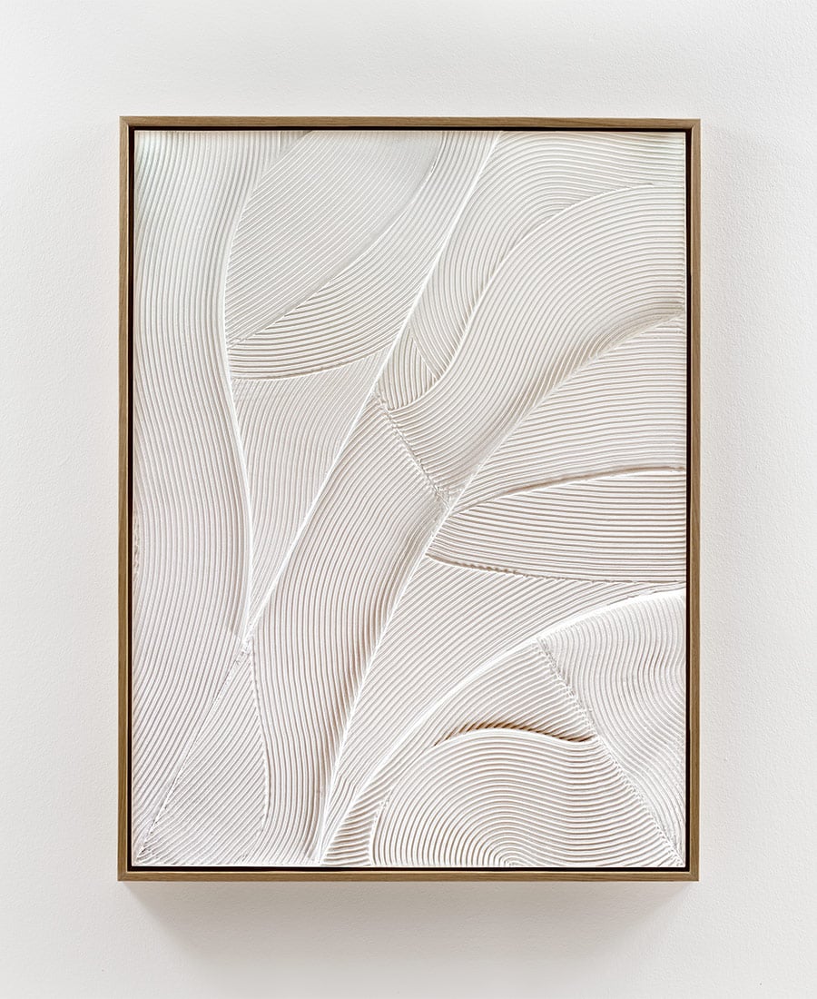 Image of Relief · Curves No. 1
