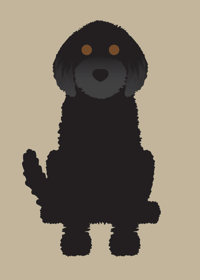 Image 1 of Labradoodle Collection