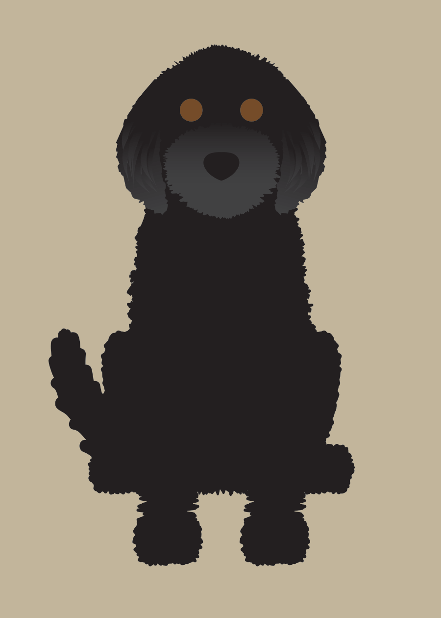 Labradoodle Collection