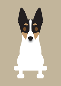 Image 1 of Rat Terrier Collection