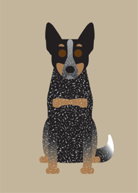 Image 1 of Australian Cattle Dog Collection