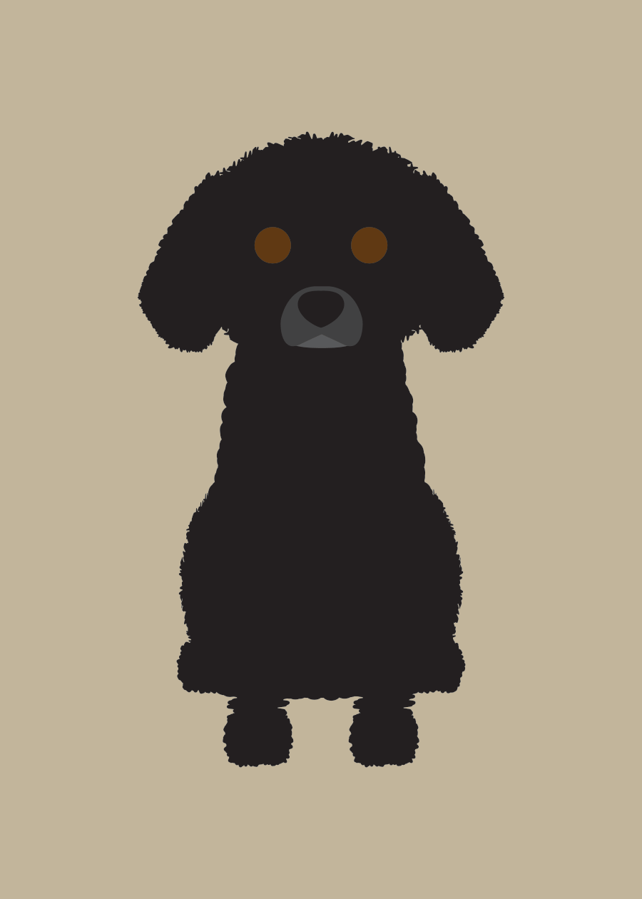Toy Poodle Collection