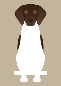 Image 4 of German Shorthaired Pointer Collection