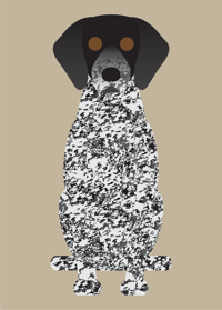 Image 1 of German Shorthaired Pointer Collection