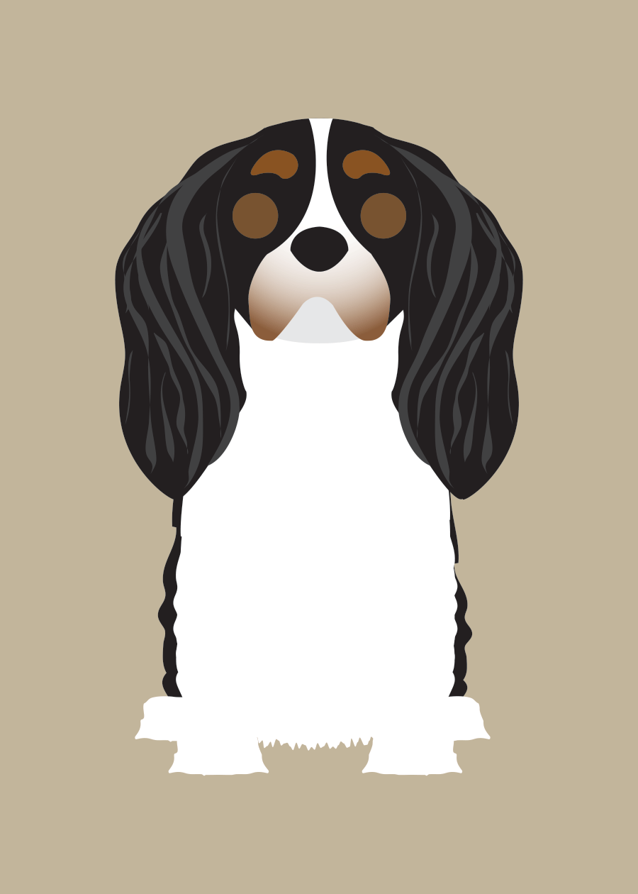 King Charles Cavalier Collection