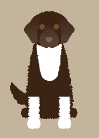 Image 4 of Portuguese Water Dog Collection