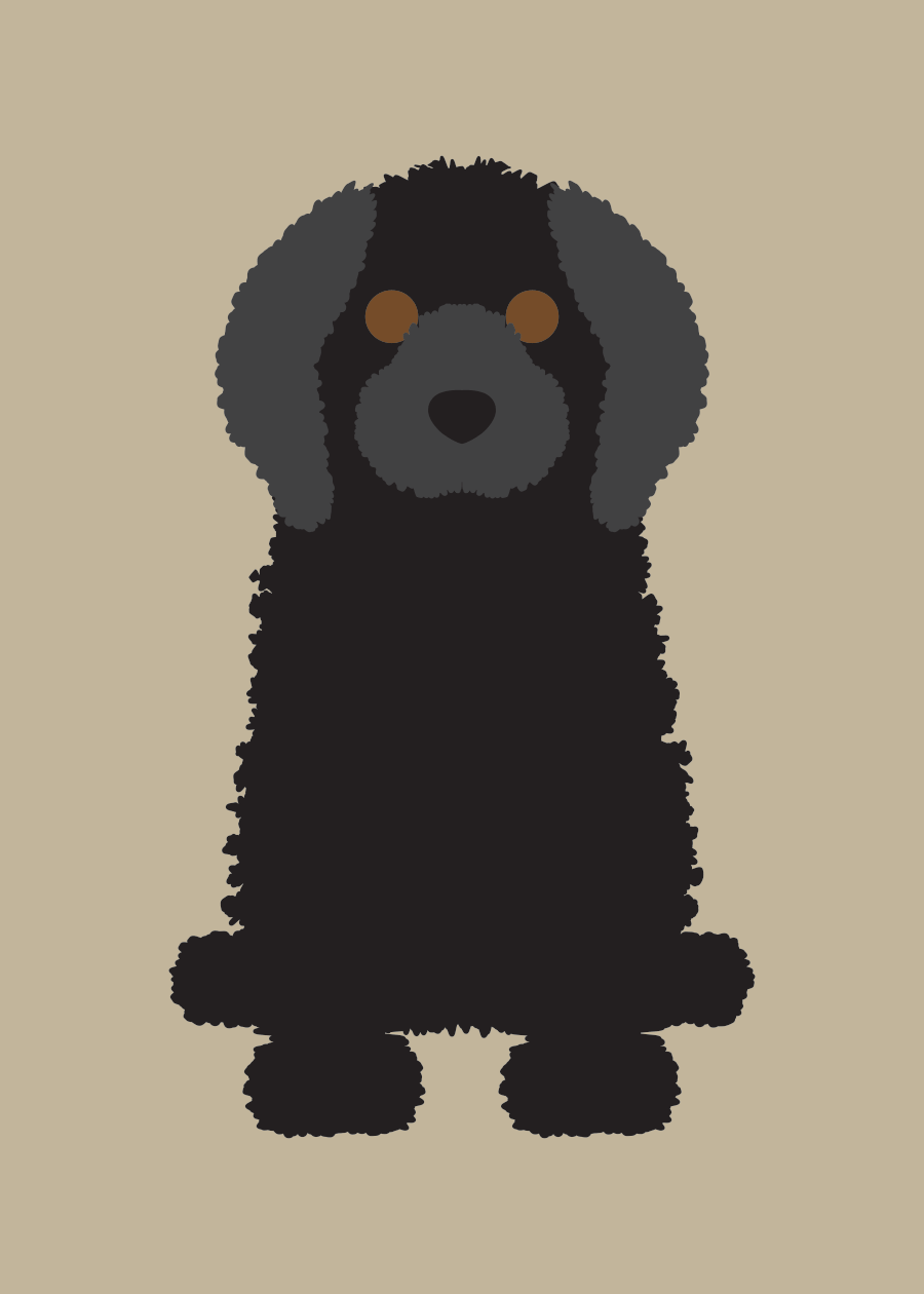 Cockapoo Collection
