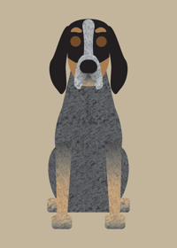 Image 3 of Basenji, Blue Tick Hound, Brittany Spaniel Collection