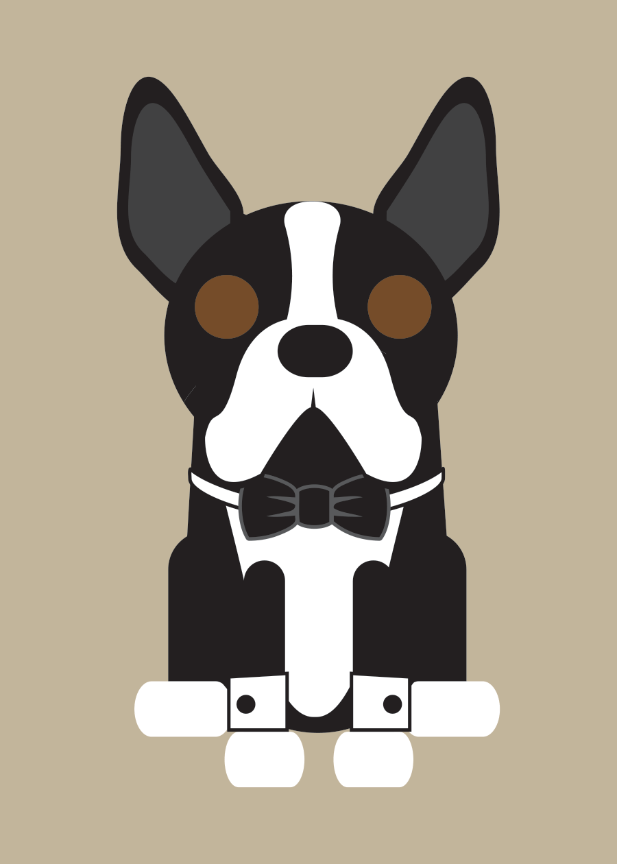 Boston Terrier Collection
