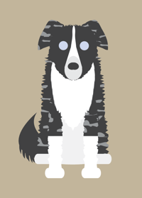 Image 2 of Border Collie Collection