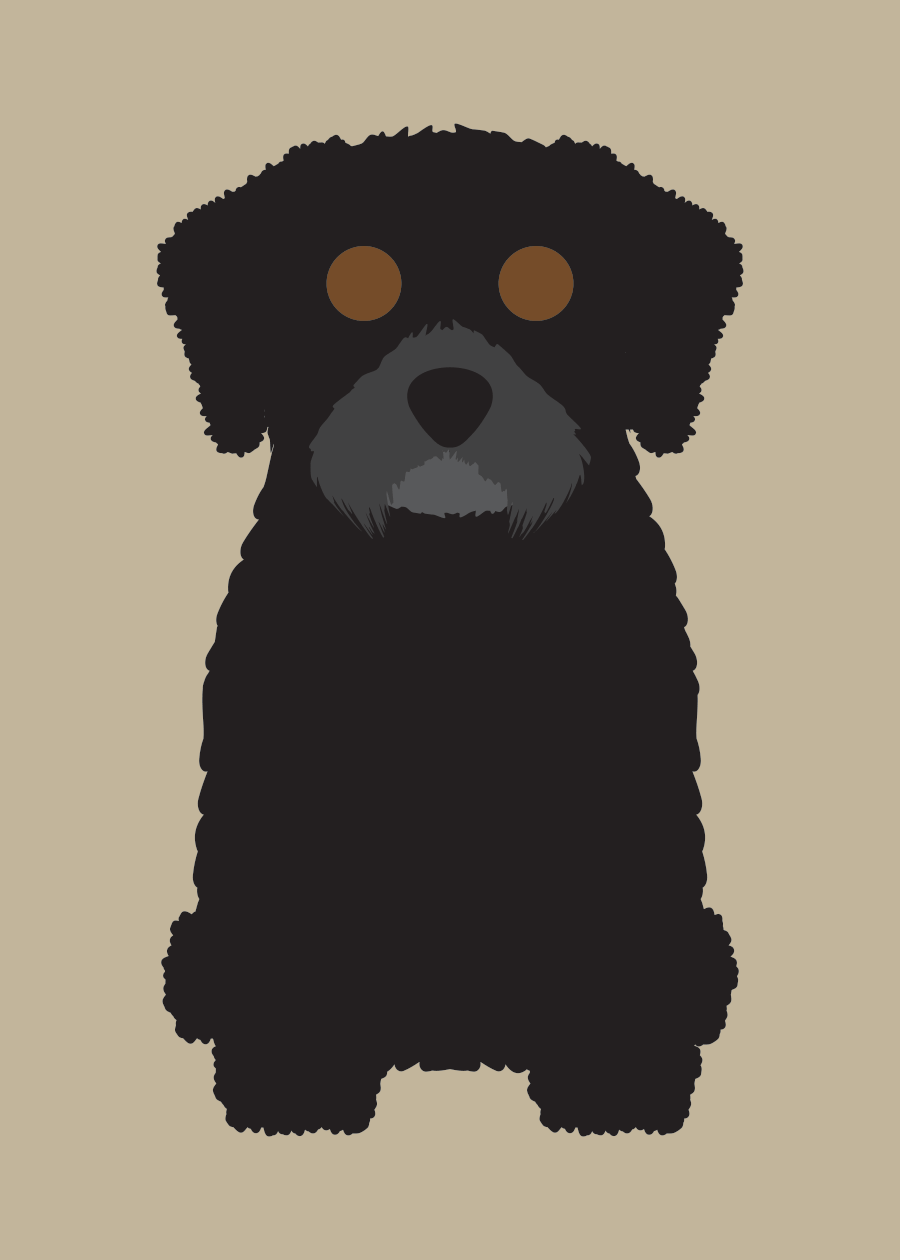 Havanese Collection