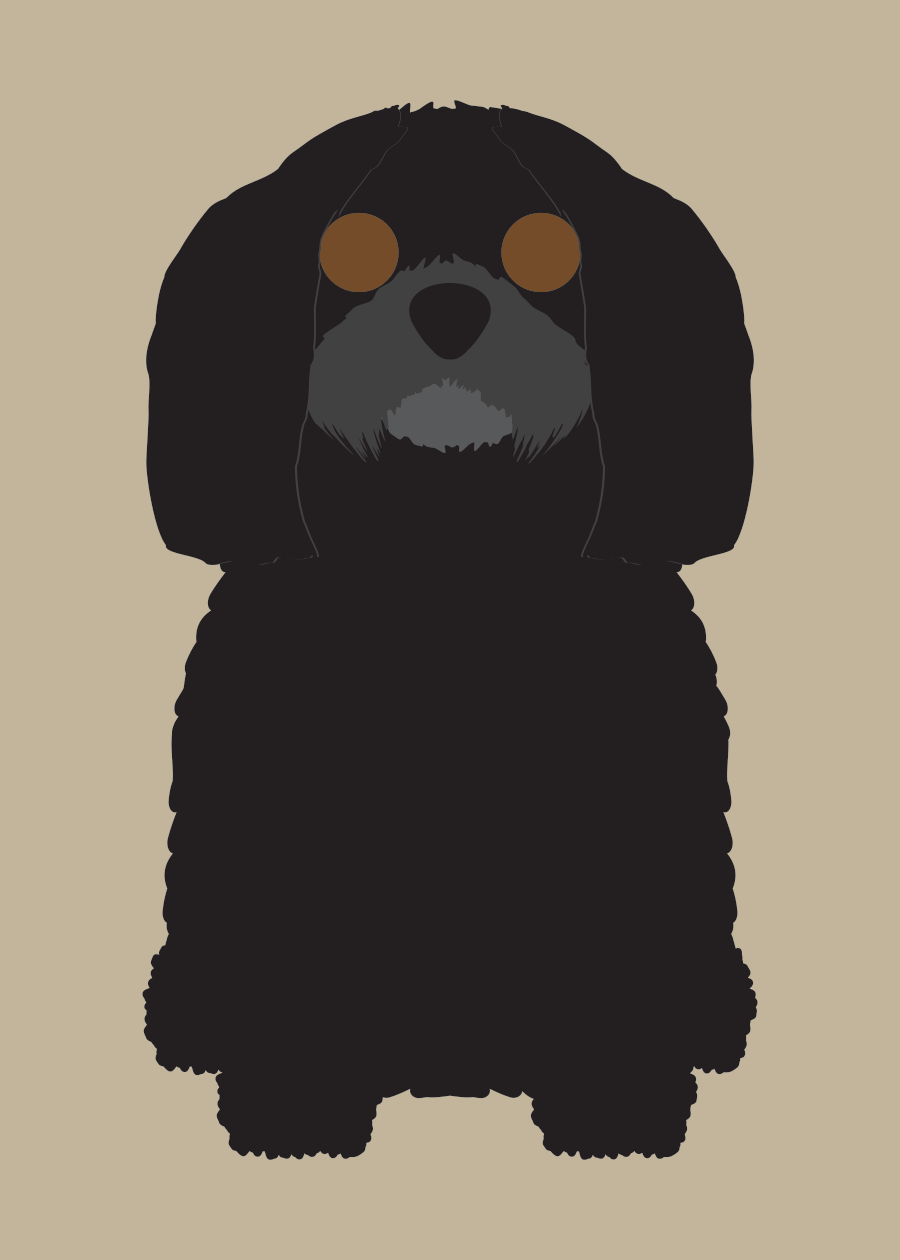 Lhasa Apso Collection