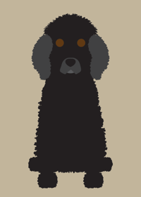 Image 1 of Poodle (Standard) Collection