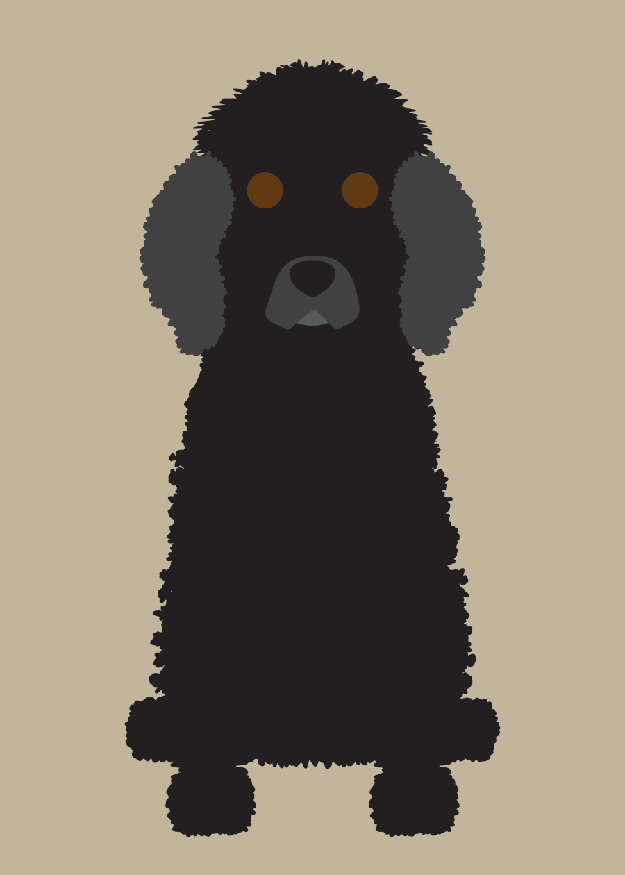Poodle (Standard) Collection