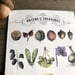 Image of Nature’s Treasures Card