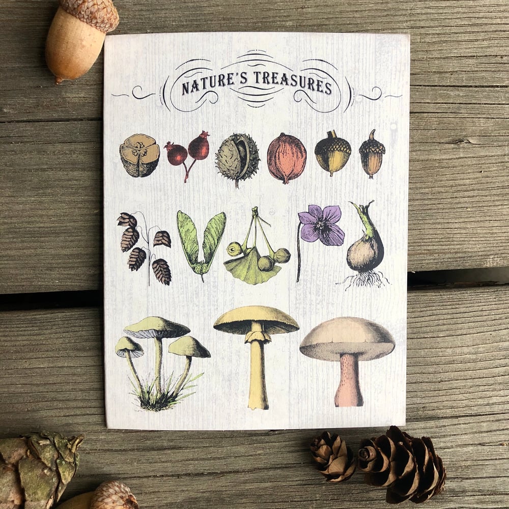 Image of Nature’s Treasures Card