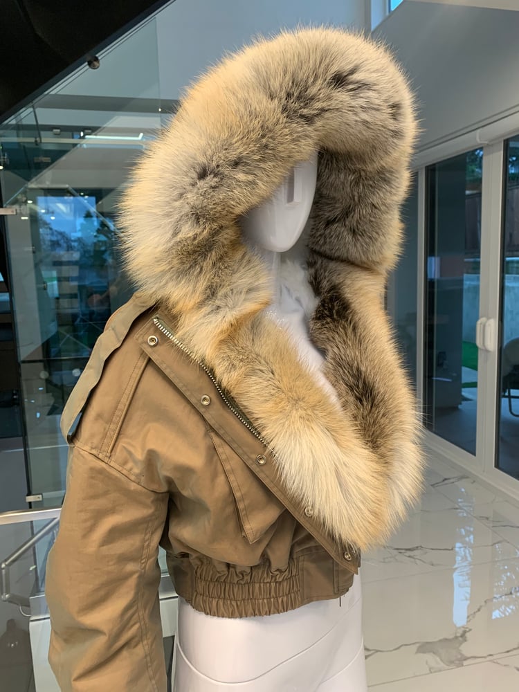 Image of Combat Bomber