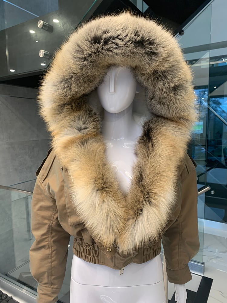 Image of Combat Bomber