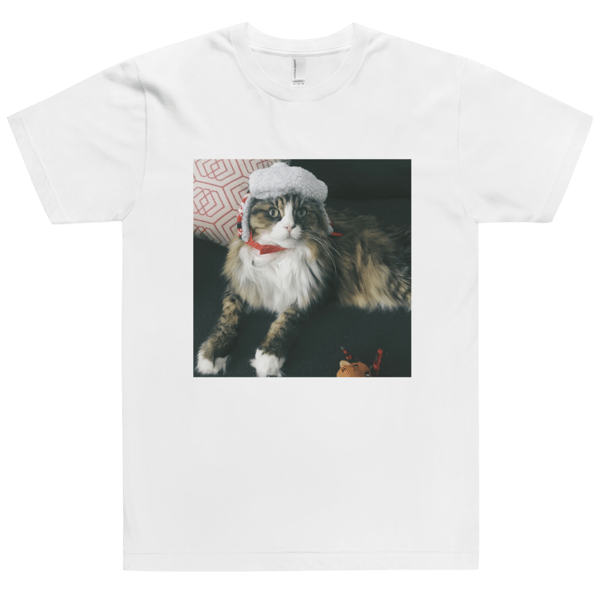 Image of Merry Merry Vibes T-Shirt