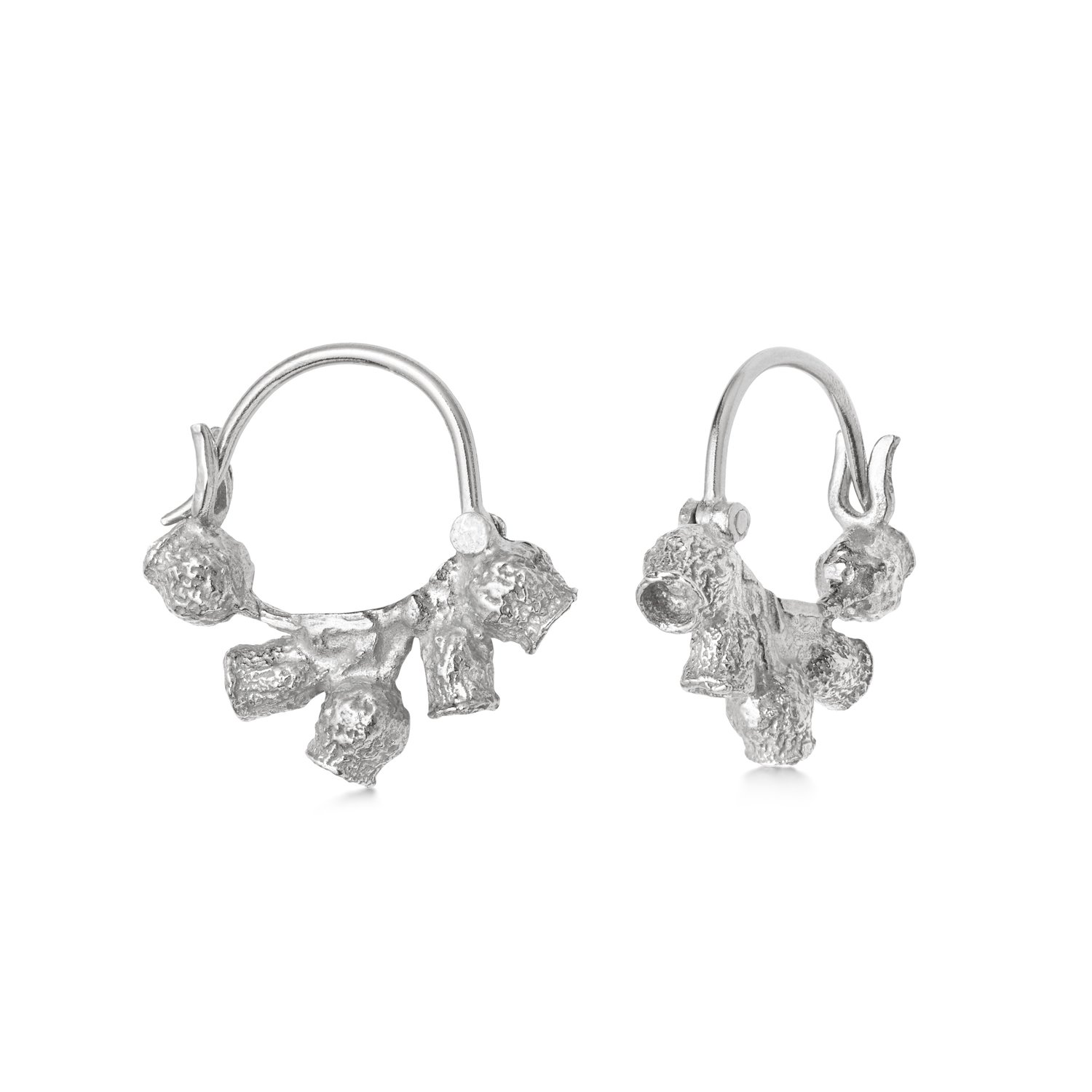 Image of Silver Gumnut Hoops
