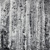 Image 2 of Declension XXIV