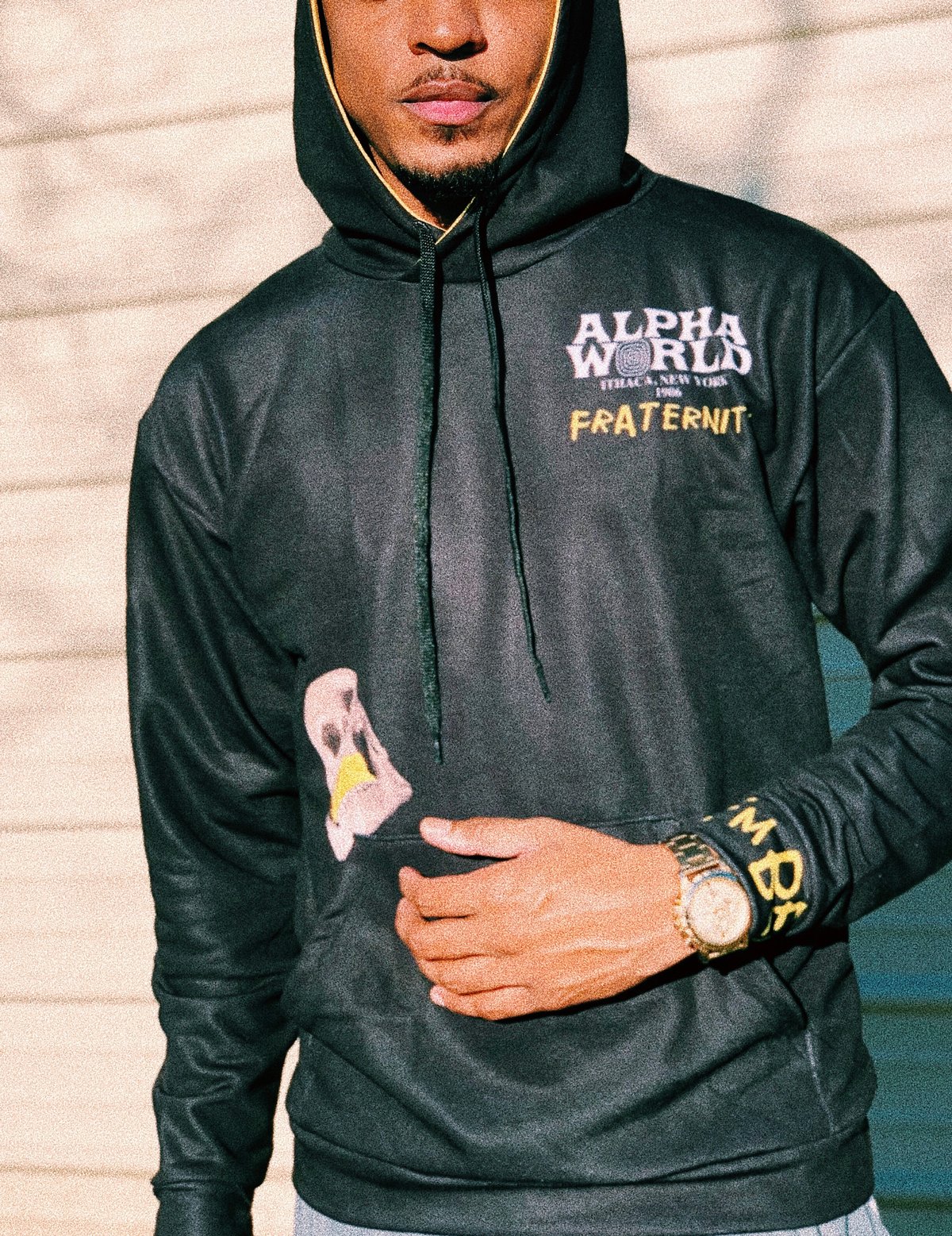 Image of Alpha World ™ Fraternity Fleece Hoodie