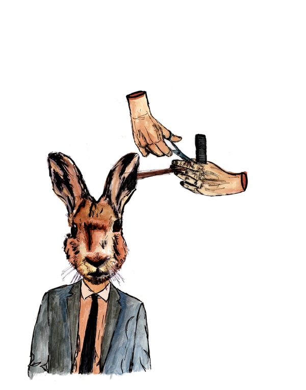 Image of a hare cut