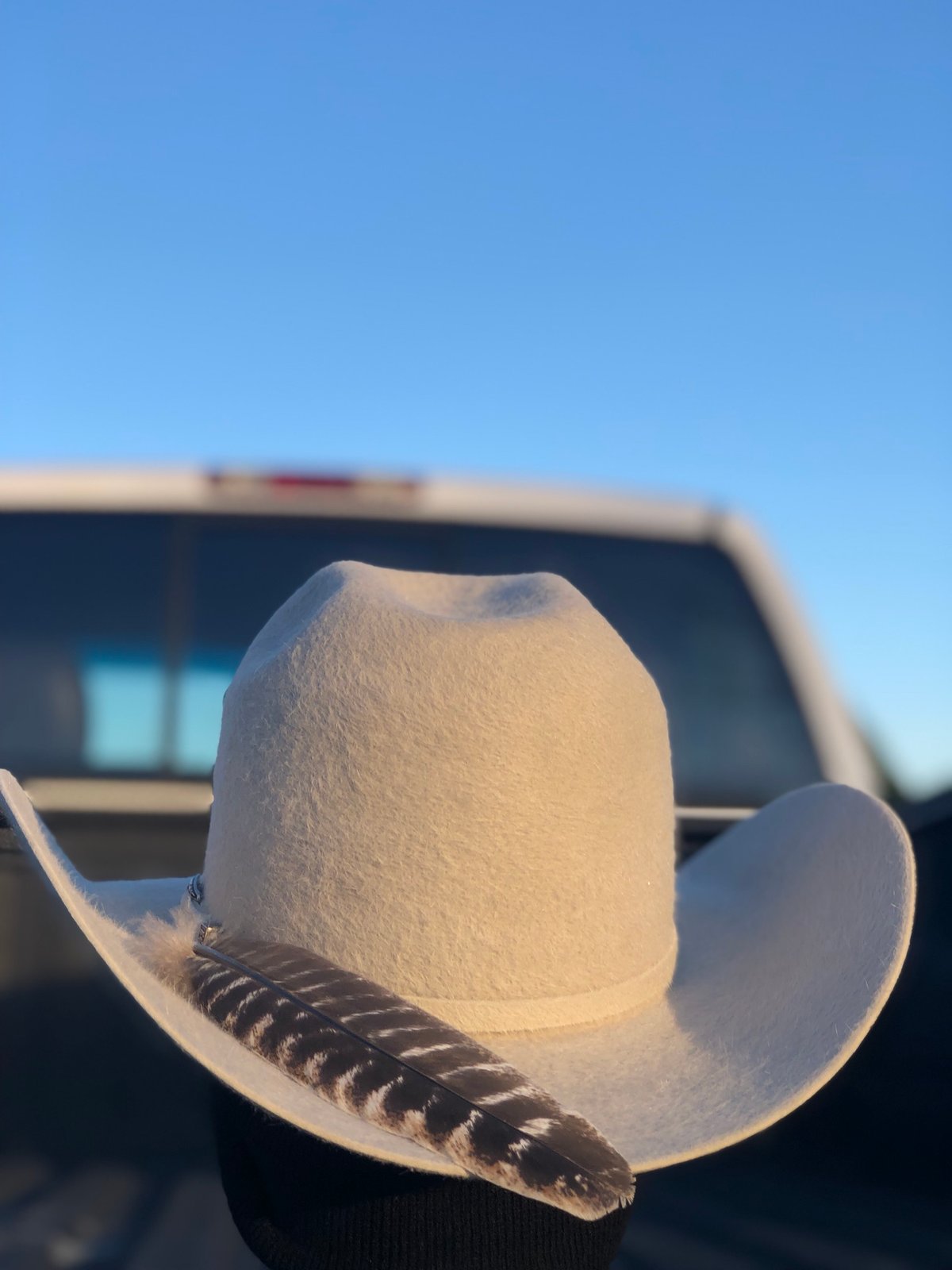 turkey feather cowboy hat